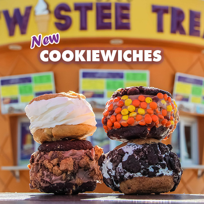 Twistee Treat Best Ice Cream Dessert Orlando Tampa Houston Best